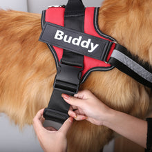 Load image into Gallery viewer, Personalized Dog Harness