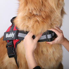 Load image into Gallery viewer, Personalized Dog Harness