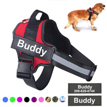 Load image into Gallery viewer, Personalized Dog Harness