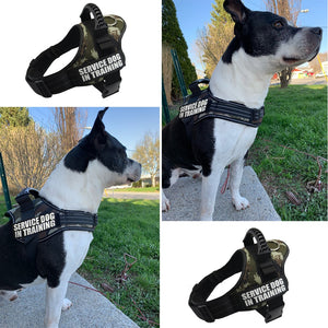 Delta K9 Pro Adjustable Harness