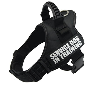 Delta K9 Pro Adjustable Harness