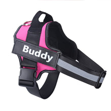 Load image into Gallery viewer, Personalized Dog Harness